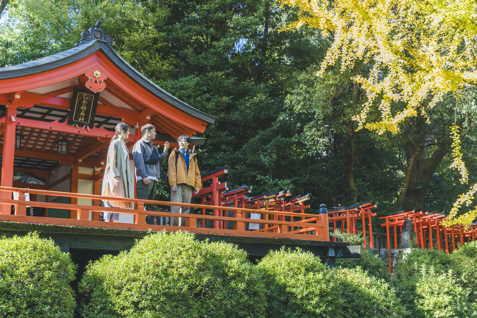 根津神社 - 【公式】&Here TOKYO UENO- アンドヒア東京上野